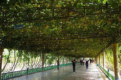 CDPR庆祝《巫师3》发售7周年